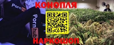 твердый Коммунар