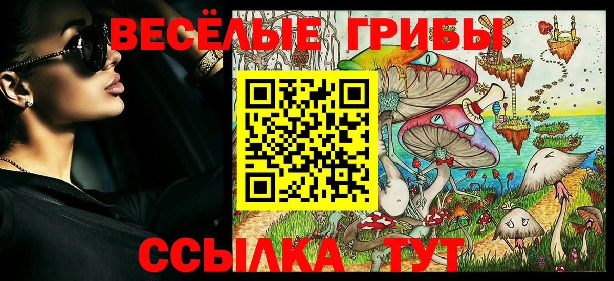 Карачаевск  Галлюциногенные грибы Cubensis  Вход с VPN 